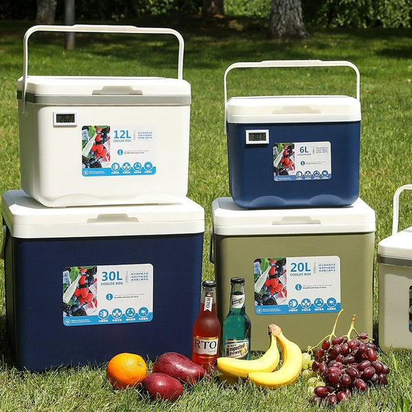 Portable Cooler Box 5L/6L/12L with Ice Bags