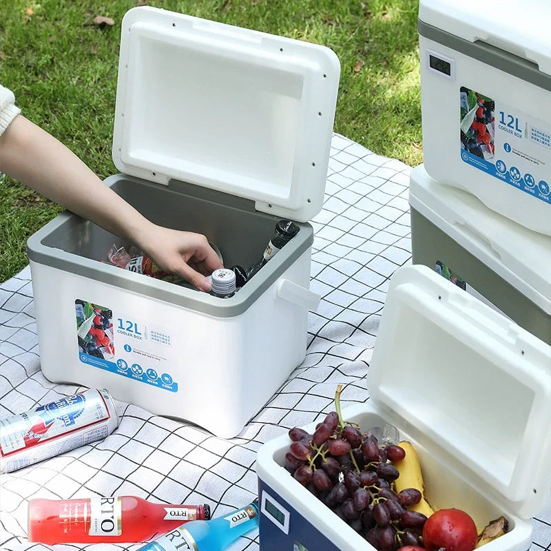 Portable Cooler Box 5L/6L/12L with Ice Bags